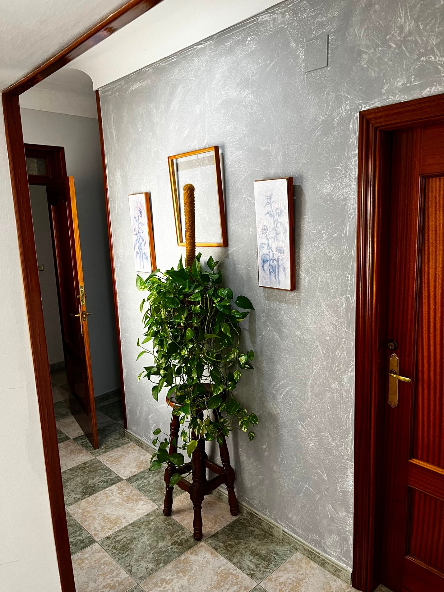 Recibidor con planta y cuadros entre habitaciones